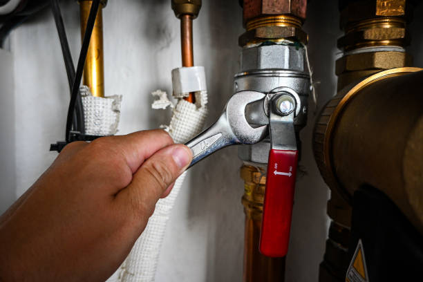 Best Hot Water Heater Installation  in Durant, IA